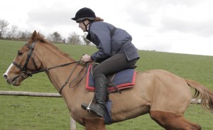 Dark Horse 2015 Movie