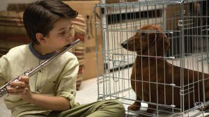Wiener-Dog Movie 2016