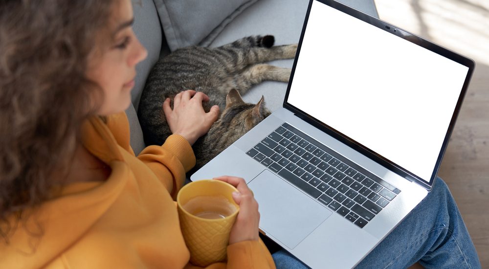 Photo of A Woman Using Laptop
