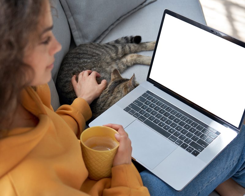 Photo of A Woman Using Laptop